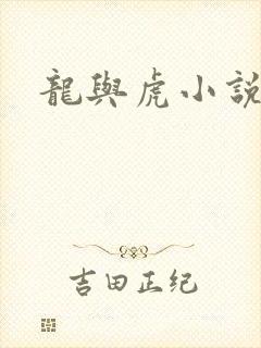 龙与虎小说