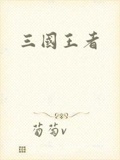 三国王者