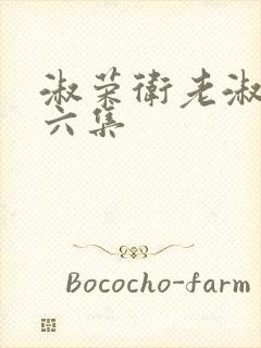 淑荣卫老淑荣第六集