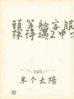 头等舱客服的特殊待遇2中字