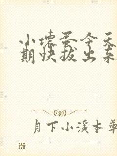 小坏蛋今天危险期快拔出来