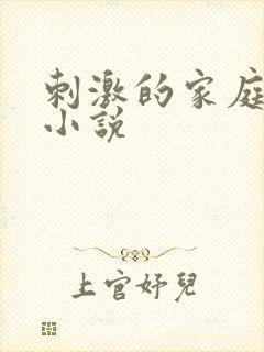 刺激的家庭乱仑小说
