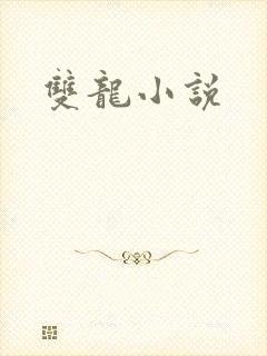 双龙小说