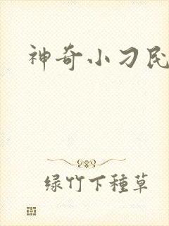 神奇小刁民