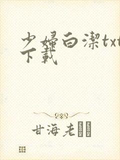 少妇白洁txt下载