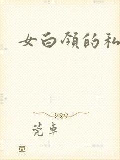 女白领的私生活