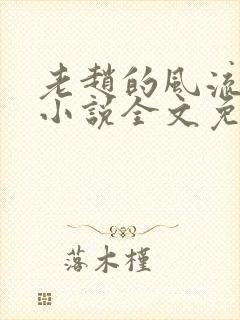 老赵的风流人生小说全文免费阅读