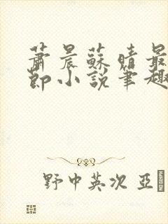 萧晨苏晴最新章节小说笔趣阁