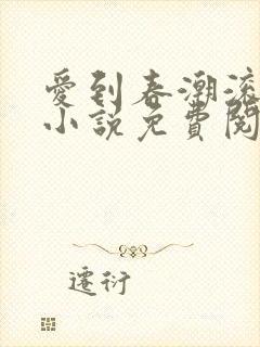 爱到春潮滚滚来小说免费阅读