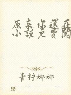 原来你还在这里小说免费阅读