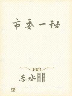 市委一秘