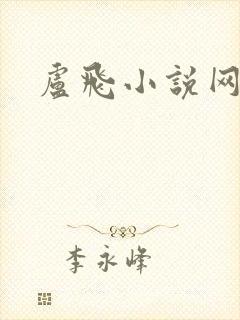 卢飞小说网