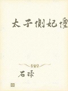 太子侧妃傻乎乎