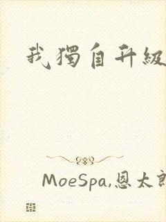 我独自升级小说