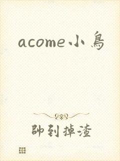 acome小鸟