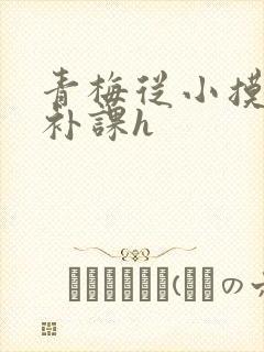 青梅从小摸到大补课h
