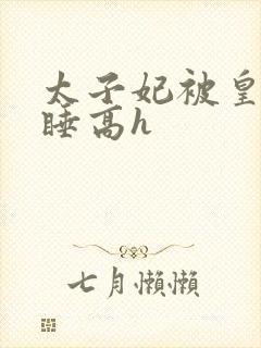 太子妃被皇上强睡高h