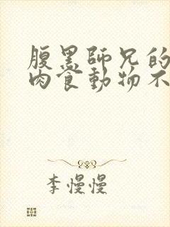 腹黑师兄的日常肉食动物不食草