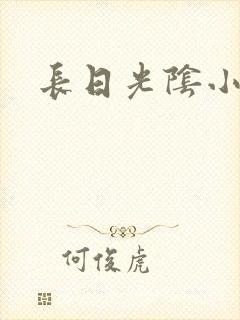 长日光阴小说