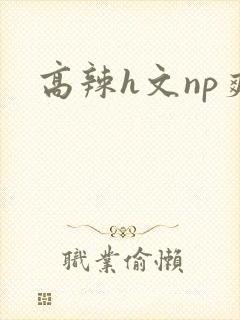 高辣h文np爽