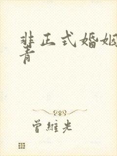 非正式婚姻雾里青