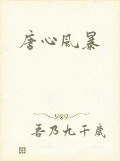 唐心风暴