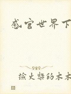 感官世界下载