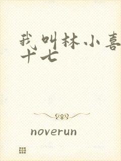 我叫林小喜今年十七