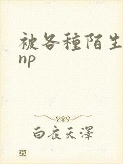 被各种陌生人 np