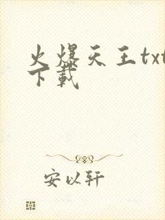 火爆天王txt下载