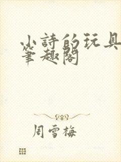 小诗的玩具日记笔趣阁