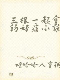 三根一起会坏掉的好痛小说