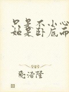 只是不小心发现她是卧底而已