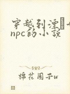 穿越到湮婸世界npc的小说