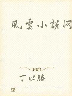 风云小说网