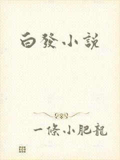 白发小说