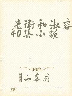 老卫和淑容1-40集小说