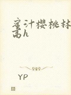 蜜汁樱桃林妙妙高h