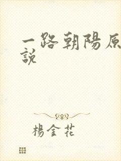 一路朝阳原著小说