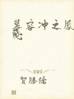 慕容冲之凤凰于飞