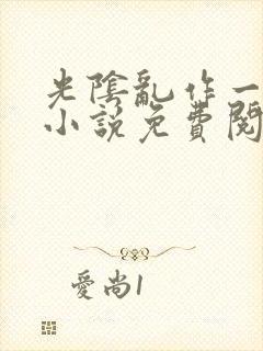 光阴乱作一团的小说免费阅读