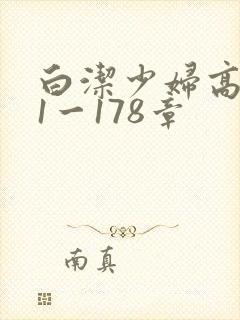 白洁少妇高义第1一178章