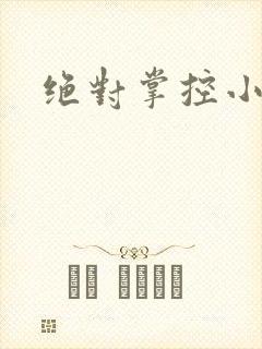 绝对掌控小说