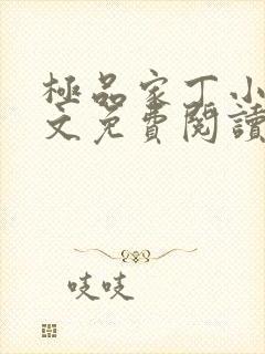 极品家丁小说全文免费阅读