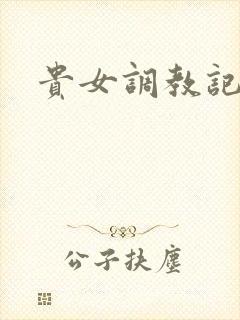 贵女调教记
