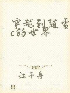 穿越到随处可以c的世界