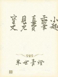 宝贝真乖小说全文免费笔趣阁