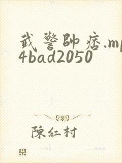 武警帅痞.mp4bad2050