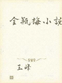 金瓶梅小说