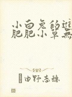 小白兔的进化史肥肥小草无防盗